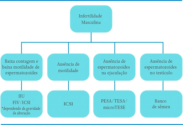 Espermograma